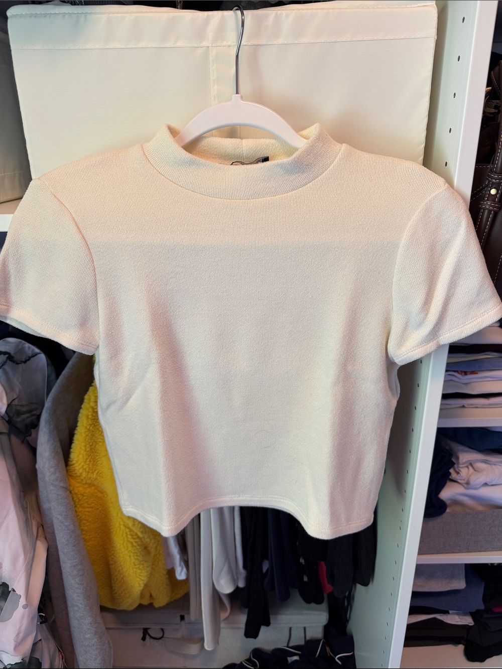 Zara Cream Short Sleeve Mock Neck Crop Top
